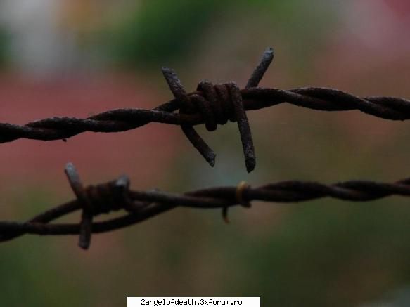 Natura - Niste poze facute de iubitul meu.. Inca nu le-am - ...:::Fotografia Noastra:::...