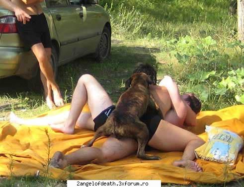 Poze Haioase - sex in grup ;)) - ...:::Funny:::...