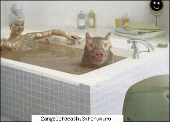 Poze Haioase - moama... ce pute :))) - ...:::Funny:::...